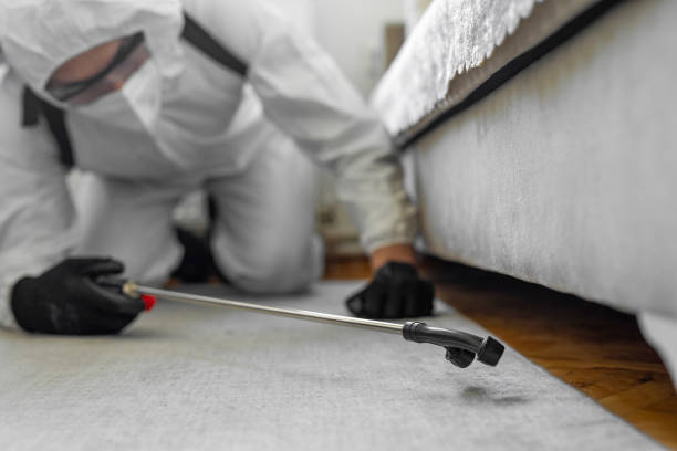 Professional Termite Control technician working in Justice, IL