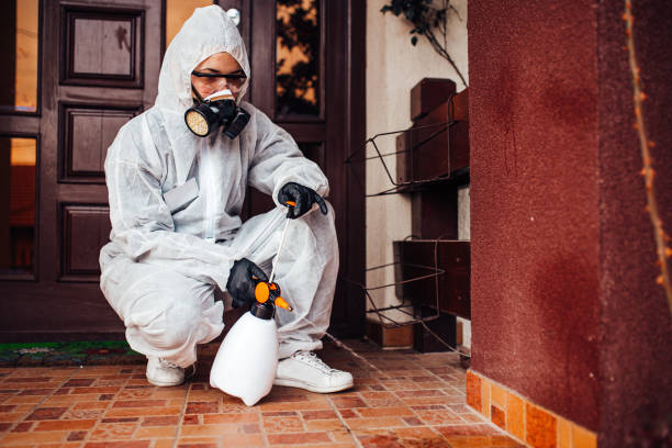 Reliable Termite Control contractor in Justice, IL by Nex Pest Control